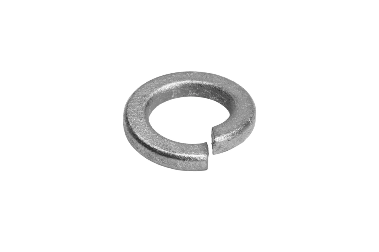 sping-washer-1
